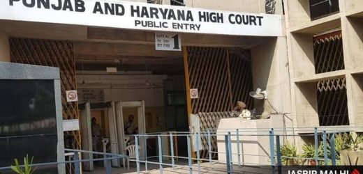HC grants custody of minor siblings to mother: ‘Male child cannot be separated from sister’
