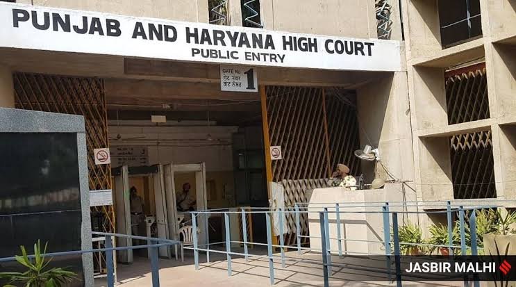 HC grants custody of minor siblings to mother: ‘Male child cannot be separated from sister’