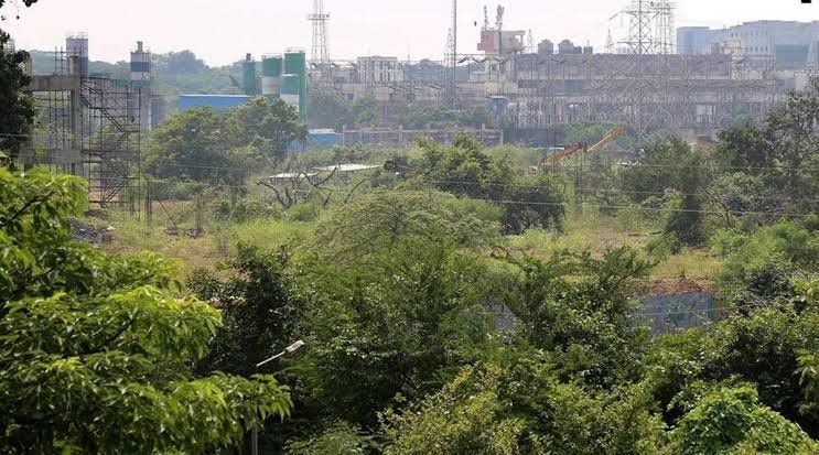 812 acres of Aarey Land handed over to Forest Department; Will now be a Reserve Forest