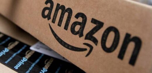 HC issues notice to Centre; plea seeking ban on Shein’s products by Amazon 