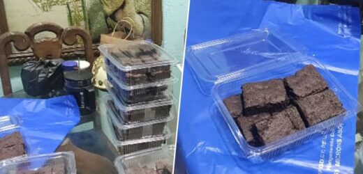 NCB South Mumbai raid finds 10 KGs of Baked Hashish Brownies sold by a Psychologist