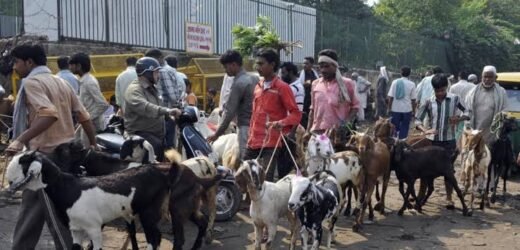 Jammu & Kashmir: No ban on animal sacrifices, clarifies admin ahead of Eid