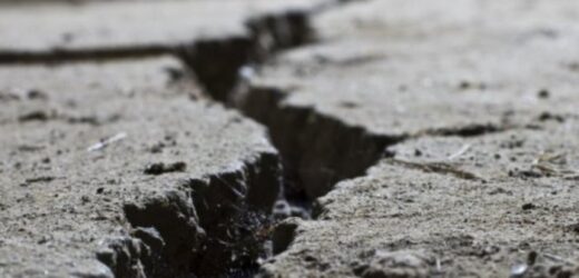 Earthquake of magnitude 4.2 hits Kargil, Ladakh: National Center for Seismology