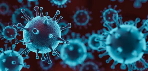 WHO: Covid virus expected to continue to transmit for a very long time