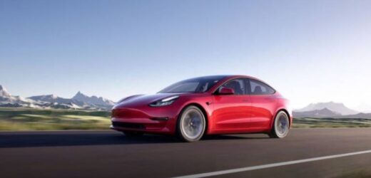 Tesla car to be affordable in India, will cost ₹35 lakh, says Gadkari
