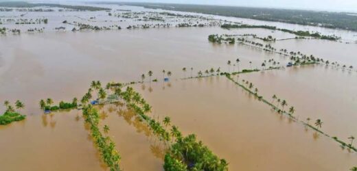 Maharashtra government announces ₹10,000 crore compensation for flood-affected farmers