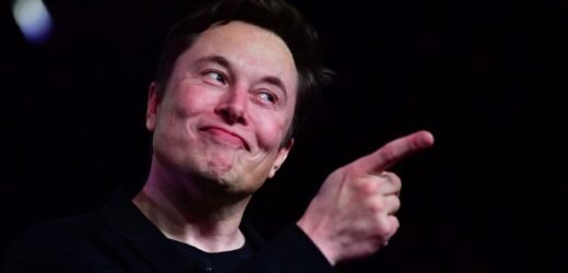 Elon Musk offers to sell Tesla stock ‘right now’ if UN can show how $6 billion would solve world hunger