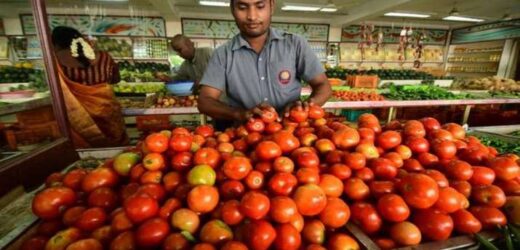 Tomato prices at Rs 80/kg in most cities, rise up to Rs 120/kg in south