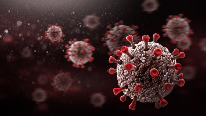 The Highly Transmissible XE variant of Covid-19