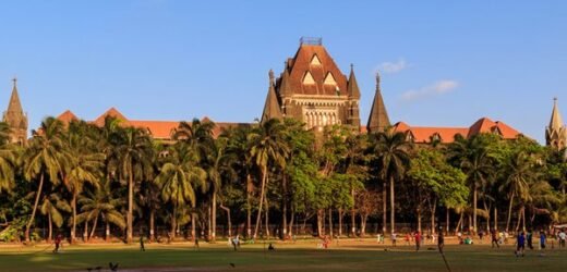 Friendly relationship does not give a license for forced sex says Bombay HC