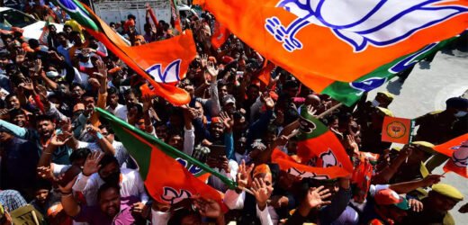 Madhya Pradesh Janpad Panchayat Polls: BJP Claims To Have Won 226 Seats