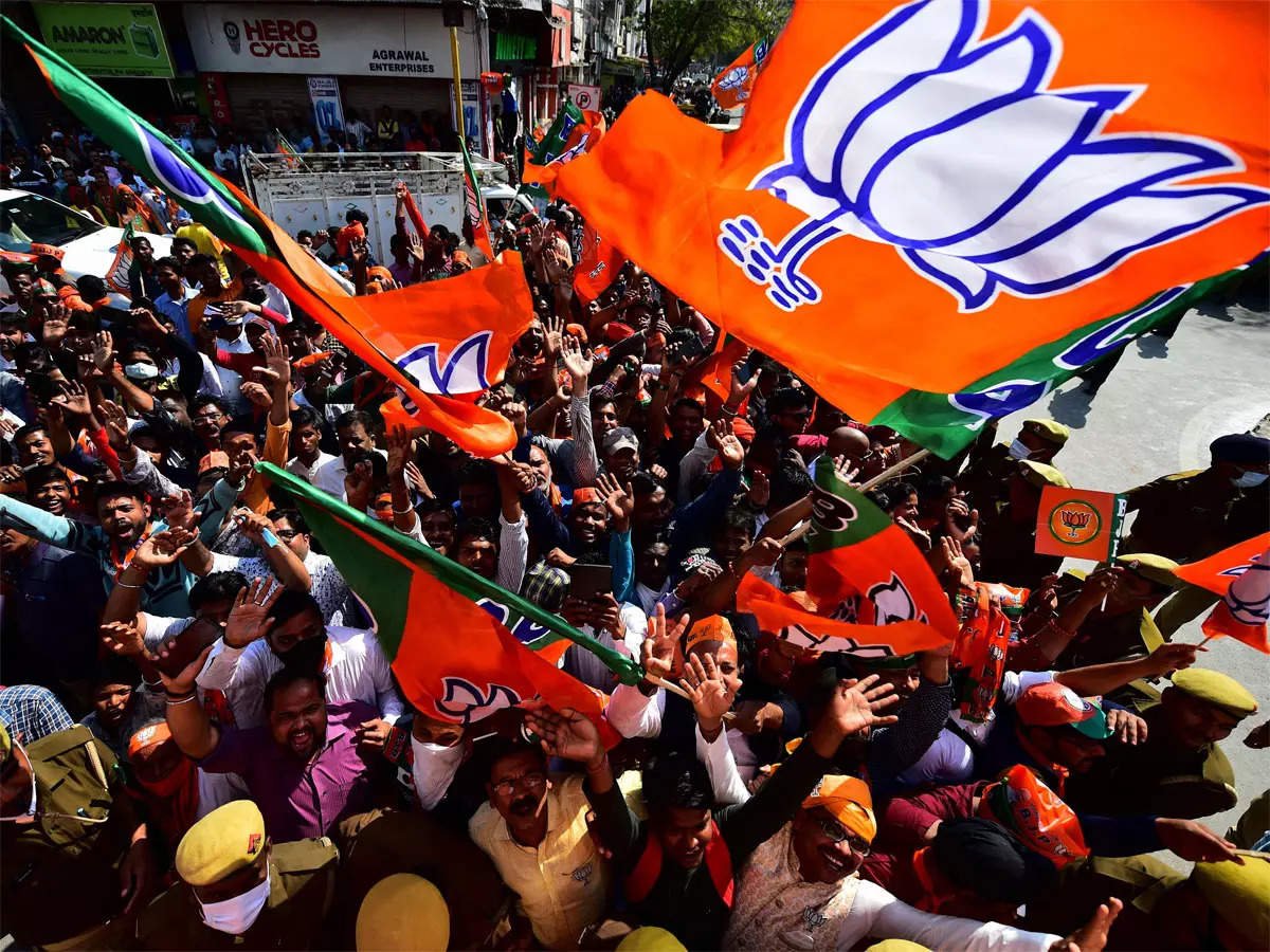 Madhya Pradesh Janpad Panchayat Polls: BJP Claims To Have Won 226 Seats