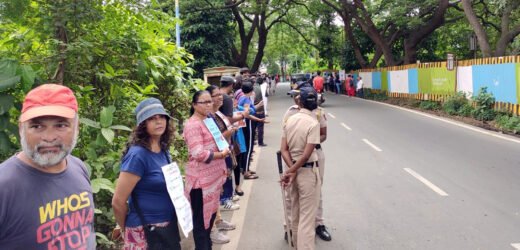 Aarey trees trimmed, detained protestors released after 10 hours