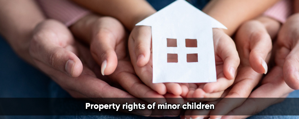Property Rights for Minors: Kerala High Court Clarifies Ownership in Favor of Sons  Kerala High Court's Latest Ruling Explained