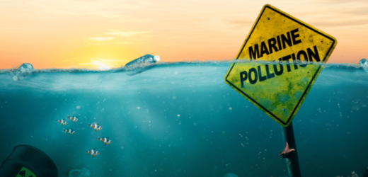 Maritime Court’s Verdict: Greenhouse Gases and Marine Pollution