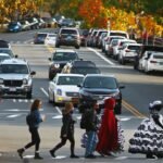 “Pedestrian Rights Are Fundamental: SC Links Safe Mobility to Article 21”